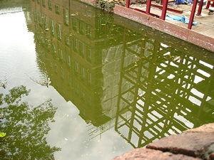 Reflection in River Foss