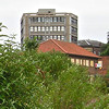 Hungate area, summer 2006