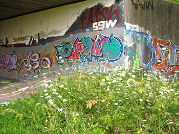 Graffiti on the cycle track to Selby