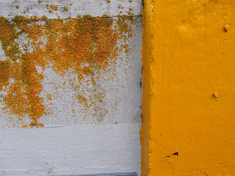 Detail, 'and we were all yellow'