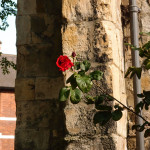 By the church wall