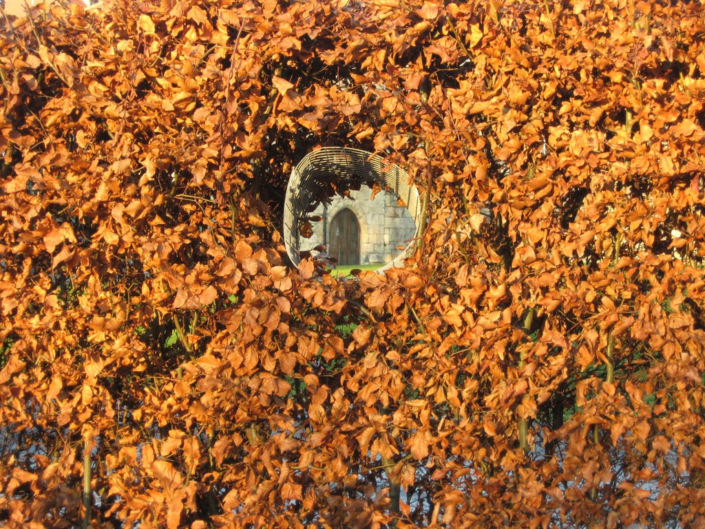 Orange beech leaves with gap framing building detail