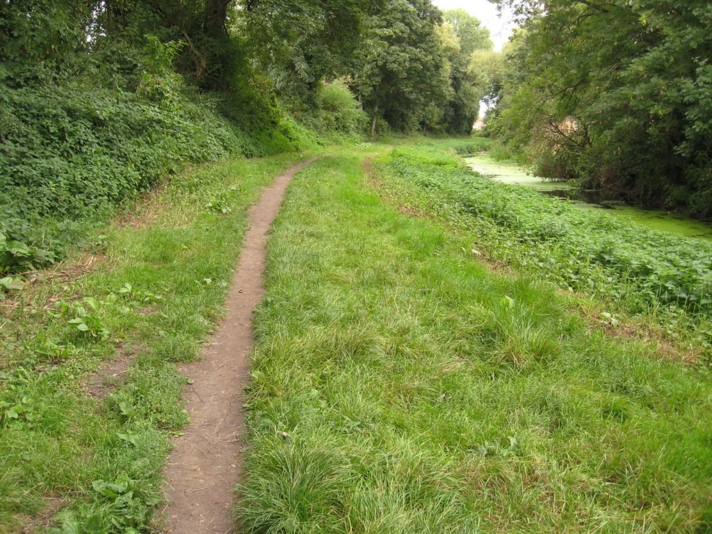 Path through grass, river to right