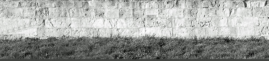 When the suburbs burned: ebook