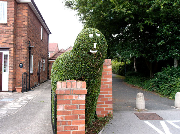 Hedge with funny face stuck on