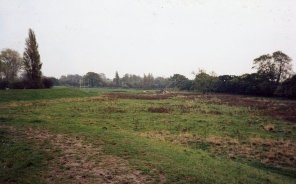 rawcliffe-meadows-view-1991-mick-phythian
