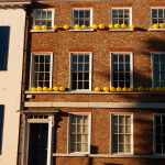 Yellow balloons in evening sun, opposite the Grange Hotel