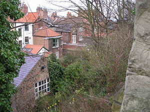 The busy, building-filled gardens of Gillygate, backing on to the city walls