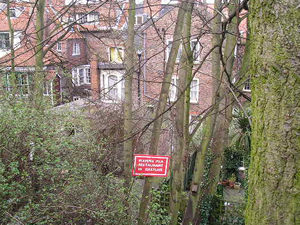 The gardens of Gillygate, with a clever bit of advertising by the Mamma Mia restaurant, in the tangle of trees