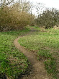 Path by the riverside