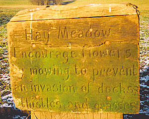 Wooden sign – New Year's Day 2001