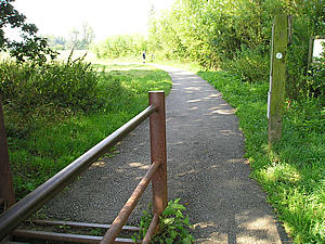 Rawcliffe Meadow, looking towards the path through the meadow