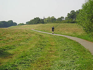 View across Rawcliffe Meadow