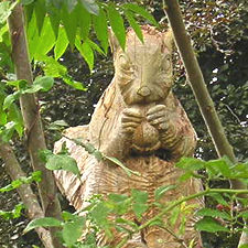 Carved wooden squirrel, York Cemetery