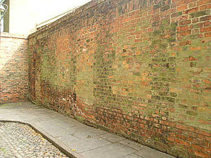 Detail of wall, showing former windows bricked up