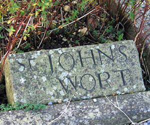 Carved stone marker for St Johns Wort